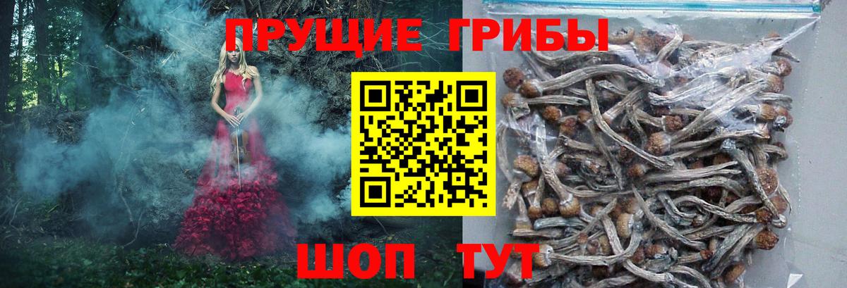 Чусовой  Псилоцибиновые грибы Magic Shrooms  Вход с VPN 