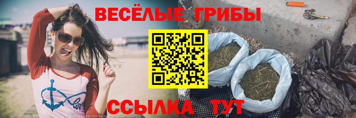 Галлюциногенные грибы Psilocybine cubensis Чусовой